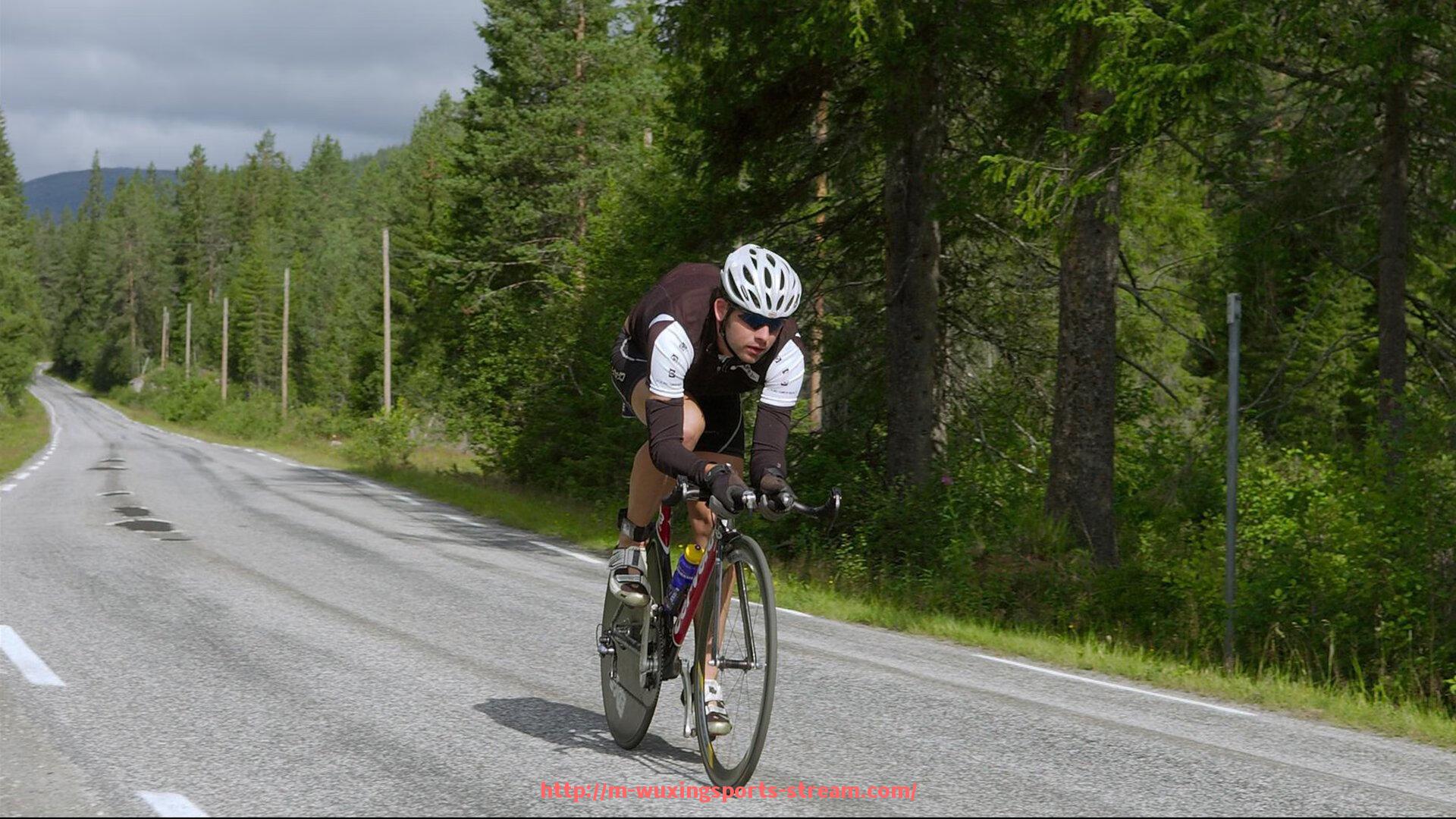五星体育直播-世俱杯赞助商市场调研报告及趋势分析
